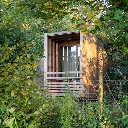 Dom wakacyjny Cozy Forest Escape For Four