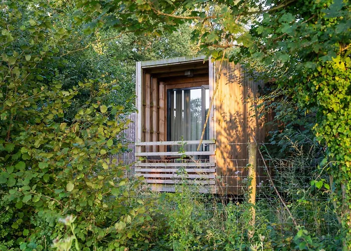 Casa de Férias Cozy Forest Escape For Four